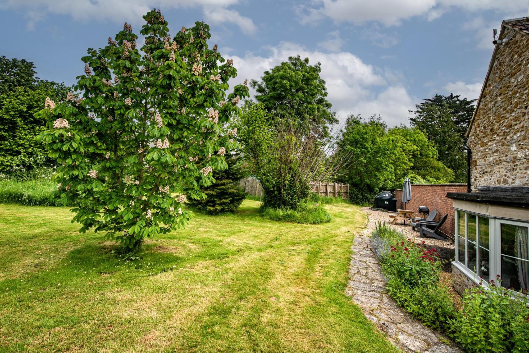 אילמינסטר Stable Cottage מראה חיצוני תמונה